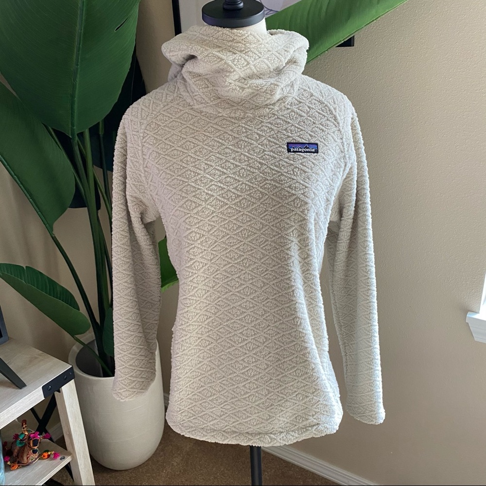 Patagonia Fleece Hoodie